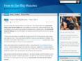 howtogetbigmuscles.org