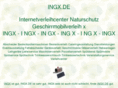 ingx.de