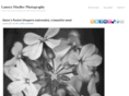 lanoramueller.com