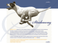 strideaway.com