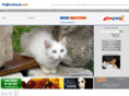 armphoto.net
