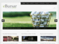 bursaronline.com
