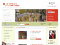 fineartstitch.com