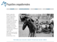 pupillesvagabondes.com