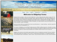 ridgetopcattle.com