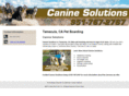 caninesolutionstemecula.com