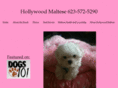 hollywoodmaltese.com