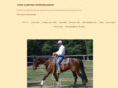 johnsanfordhorsemanship.com