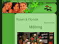 moellring.com