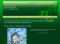 auto-consulting-group.com
