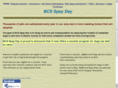 bcsspayday.com