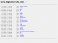 bigmoneysite.com