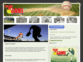 fastpitchsb.com