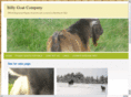 billygoatcompany.com