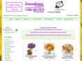 canadianflowershoppe-teachers.com
