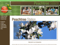 peachtreestation.org