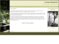 simplicitynyack.com