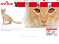 veterinary-focus.com