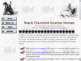 blackdiamondquarterhorses.com