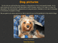 dogpuppypictures.com