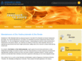 medshieldindia.net