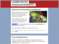 darmstaedter-sozialhilfegruppe.de