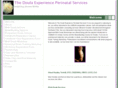 doulaexperience.com