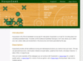 hoopsgeek.com