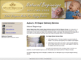 naturalbeginningsdiaper.com