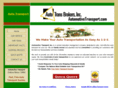 automotivetransport.com