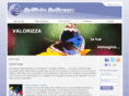 callistosoftware.com
