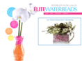 elitewaterbeads.com