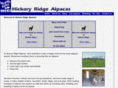 hickoryridgealpacas.com