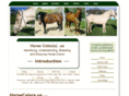 horsecolor.us