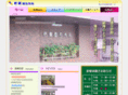 ito-seikei.com
