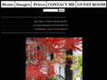 stevesonlinegallery.com
