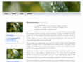 transmissionmeditation.com