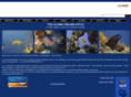 blulinedivers.com