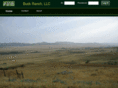 buckranchllc.com