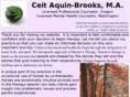 ceitaquinbrooks.com