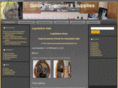 salonequipmentandsupplies.com