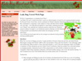 bestladybugtravel.com