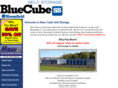 bluecubeselfstore.com