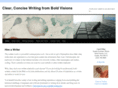 boldvisionsllc.com