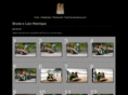 brunaehenrique.com