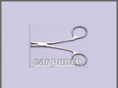 earpunch.com