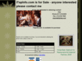 itapinfo.com