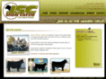 jonesshowcattle.com