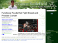 cancerbattlefield.com