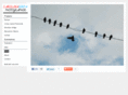 carolinazerpa.com